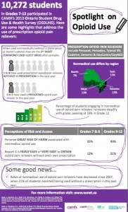 Opiod Use Infographic